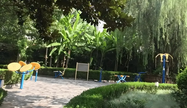八部天龙游：仙人指路